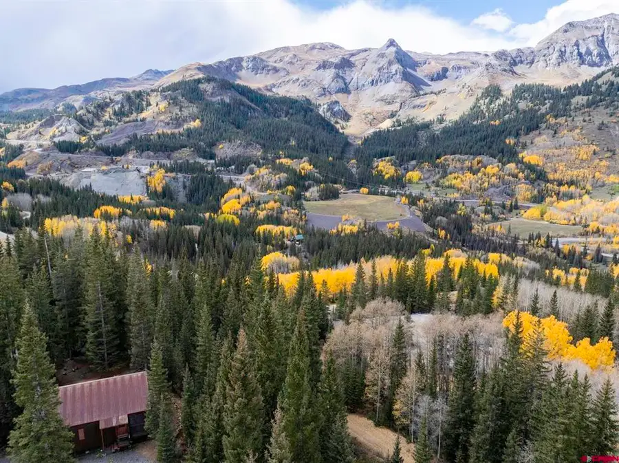 165 Guston Trail, Ouray, CO 81427 - #3