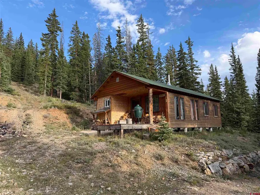 2355 Forest Service Road, Pitkin, CO 81241 - #2