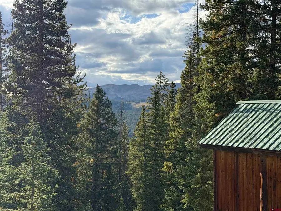 2355 Forest Service Road, Pitkin, CO 81241 - #3