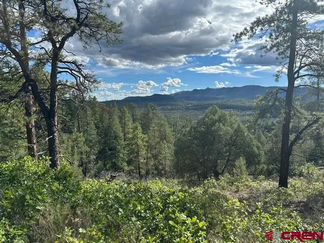 70 Rocky Ridge 1, Pagosa Springs, CO 81147 - #1