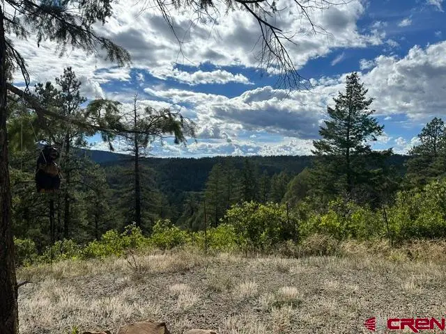 70 Rocky Ridge 1, Pagosa Springs, CO 81147 - #2