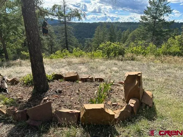 70 Rocky Ridge 1, Pagosa Springs, CO 81147 - #3