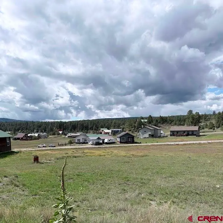 301 Morro Circle, Pagosa Springs, CO 81147 - #1