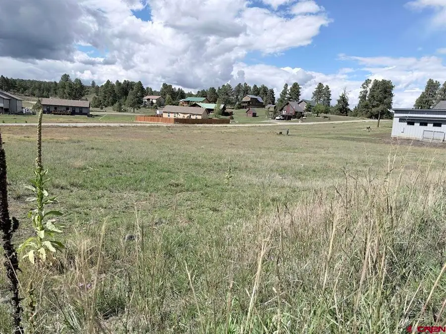 301 Morro Circle, Pagosa Springs, CO 81147 - #2