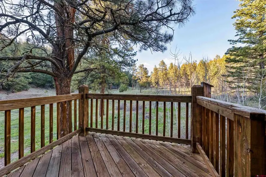 885 Puma Place, Pagosa Springs, CO 81147 - #3