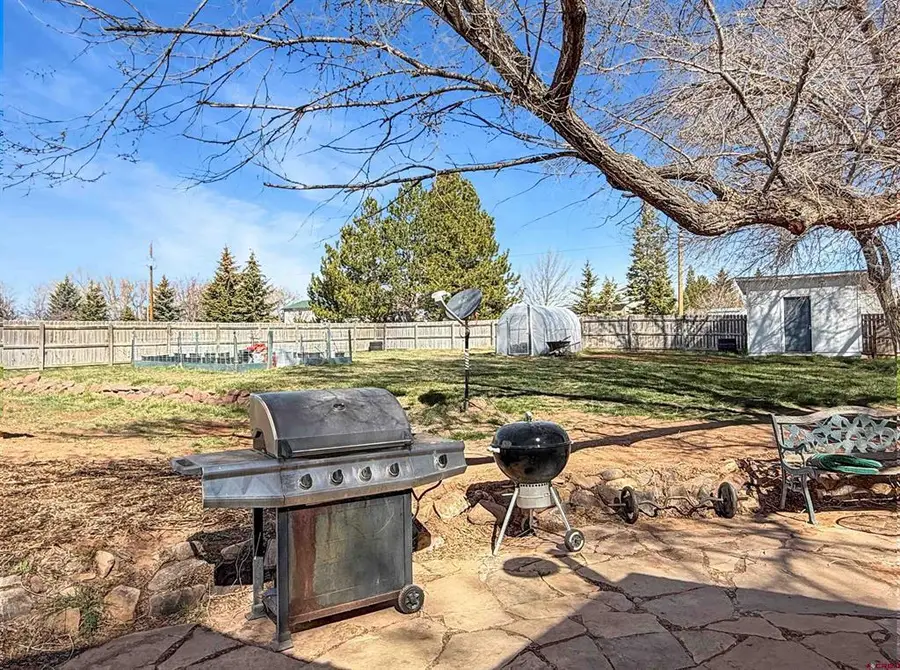 412 W 1st Street, Dove Creek, CO 81324 - #3