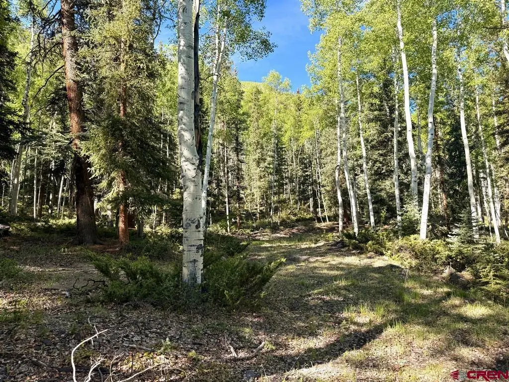 20 Alpine Vista Way, Lake City, CO 81235 - #1