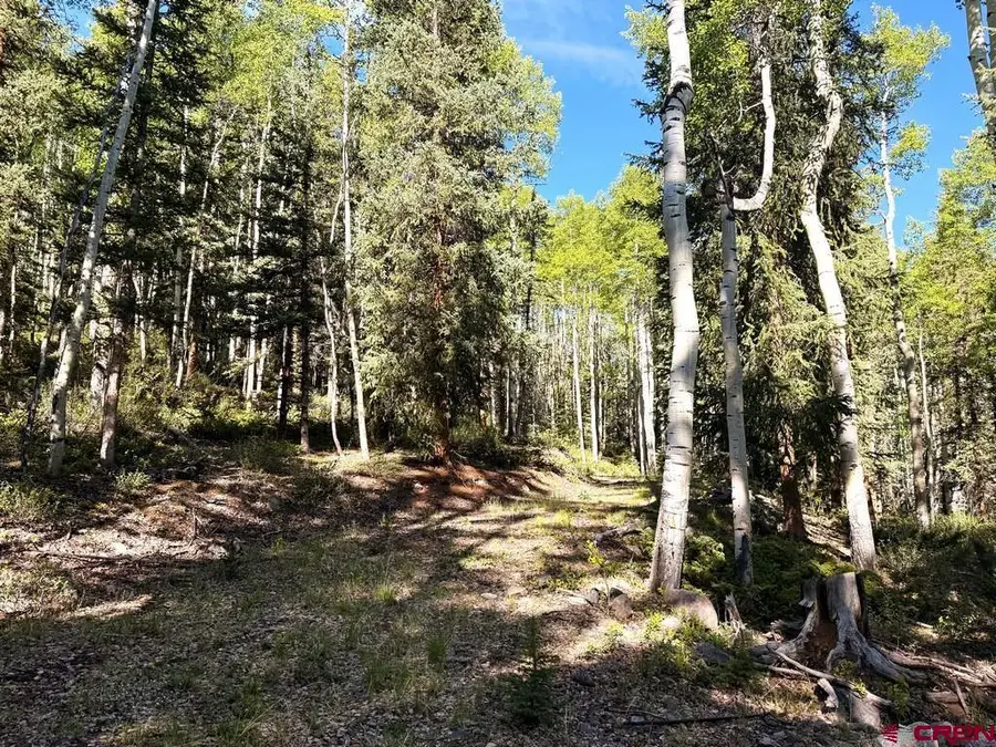 20 Alpine Vista Way, Lake City, CO 81235 - #3