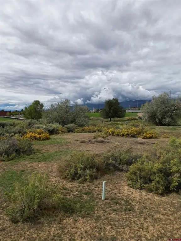 730 SE Pinyon Street, Cedaredge, CO 81413 - #3