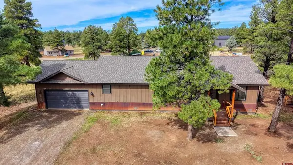 207 Domicile Circle, Pagosa Springs, CO 81147