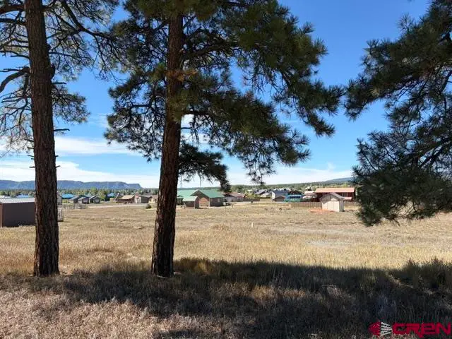578 Midiron Avenue, Pagosa Springs, CO 81147 - #2