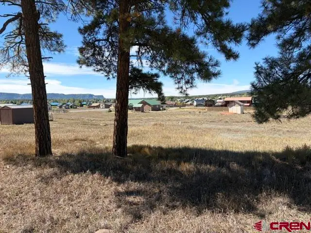 578 Midiron Avenue, Pagosa Springs, CO 81147 - #3