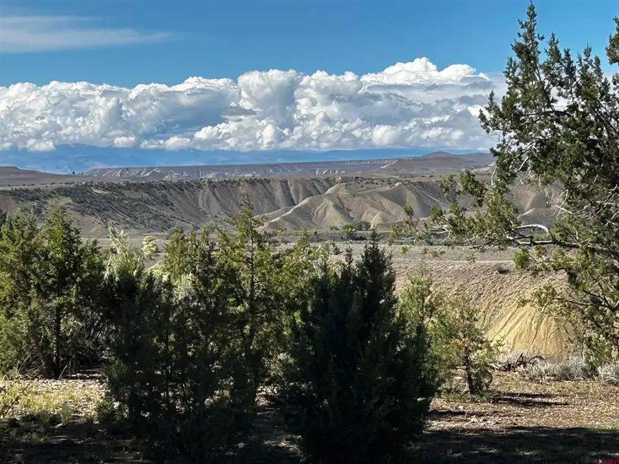 16417 Cottonwood Drive, Cedaredge, CO 81413 - #3