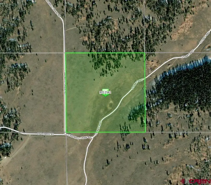 TBD Stoney Way, Powderhorn, CO 81243 - #1