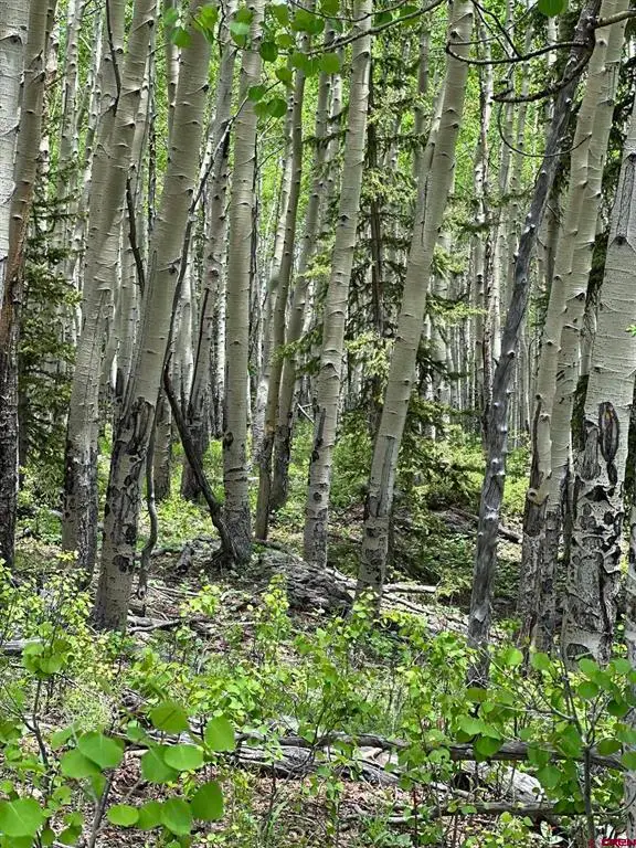 TBD Stoney Way, Powderhorn, CO 81243 - #2