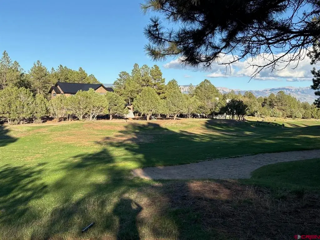 TBD  Lot 439 S Badger Trail, Ridgway, CO 81432 - #1