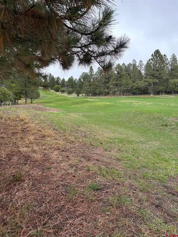TBD  Lot 439 S Badger Trail, Ridgway, CO 81432 - #3