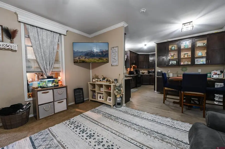 46 Ponderosa Lane, Gunnison, CO 81230 - #2