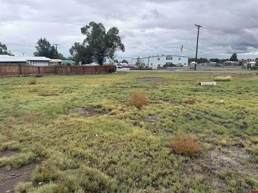 1310 W 7th Street, Alamosa, CO 81101 - #3