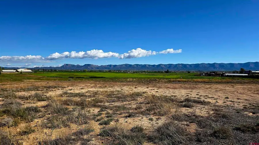 TBD N Road, Cortez, CO 81321 - #3