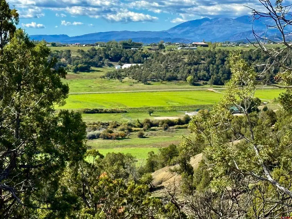 2153 Wrangler Way, Durango, CO 81301 - #1