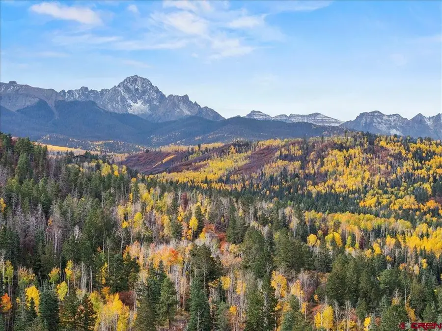 87 Which Way, Ridgway, CO 81432 - #3