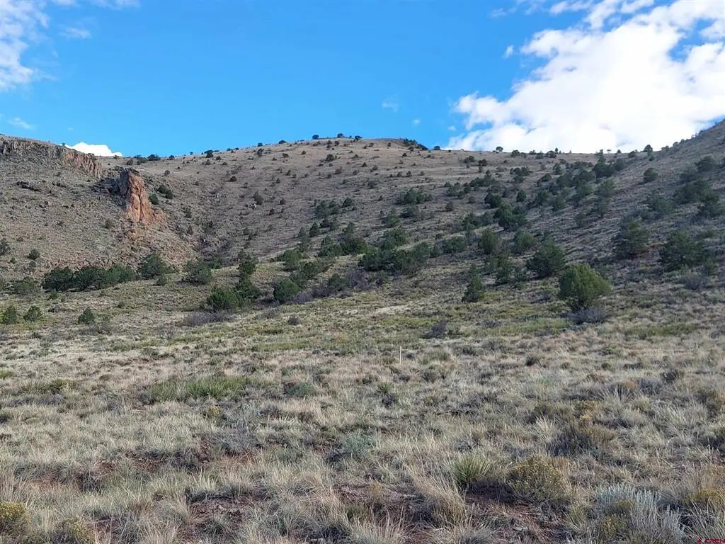 568 Pronghorn Trl, Del Norte, CO 81132 - #1