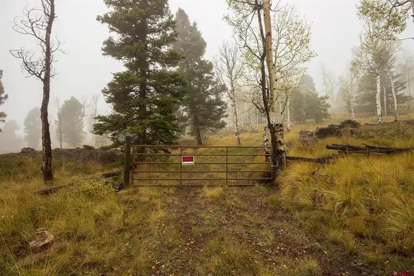 210 Kebler Trail, Powderhorn, CO 81243