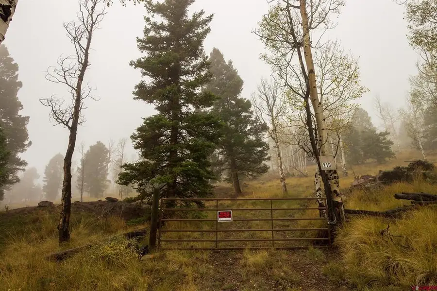 210 Kebler Trail, Powderhorn, CO 81243 - #2