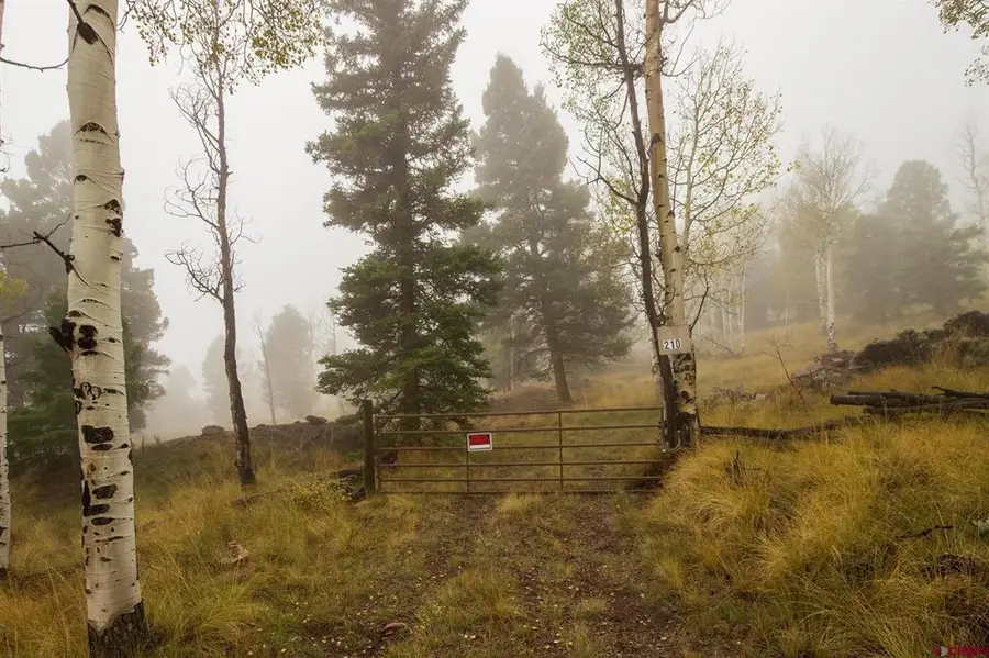 210 Kebler Trail, Powderhorn, CO 81243 - #3