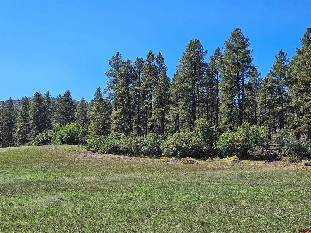 TBD County Road 502, Bayfield, CO 81122 - #1
