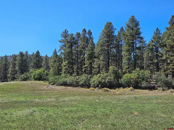 TBD County Road 502, Bayfield, CO 81122