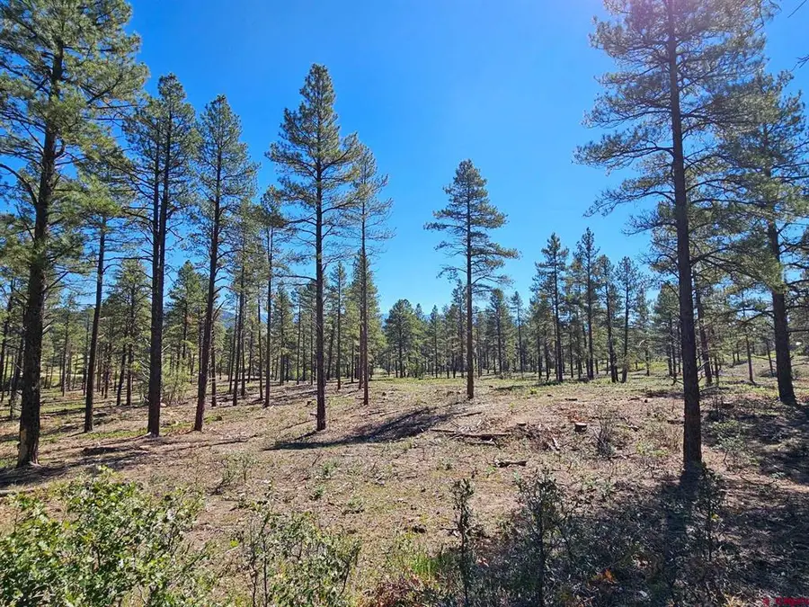 TBD County Road 502, Bayfield, CO 81122 - #3