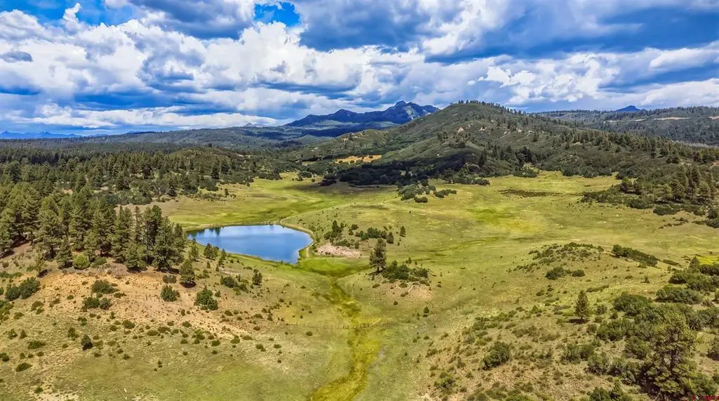 X Raptor Place, Pagosa Springs, CO 81147 - #1