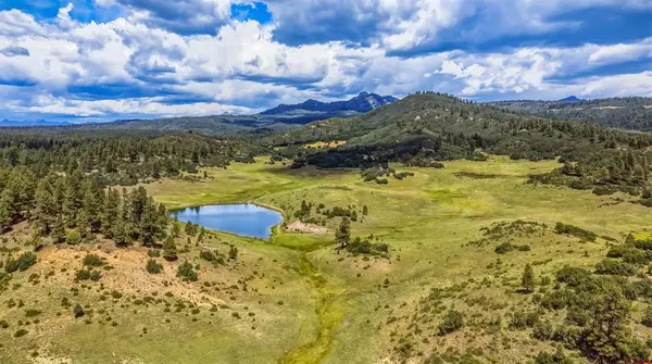 X Raptor Place, Pagosa Springs, CO 81147