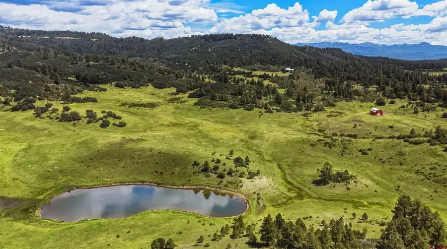 X Raptor Place, Pagosa Springs, CO 81147 - #2