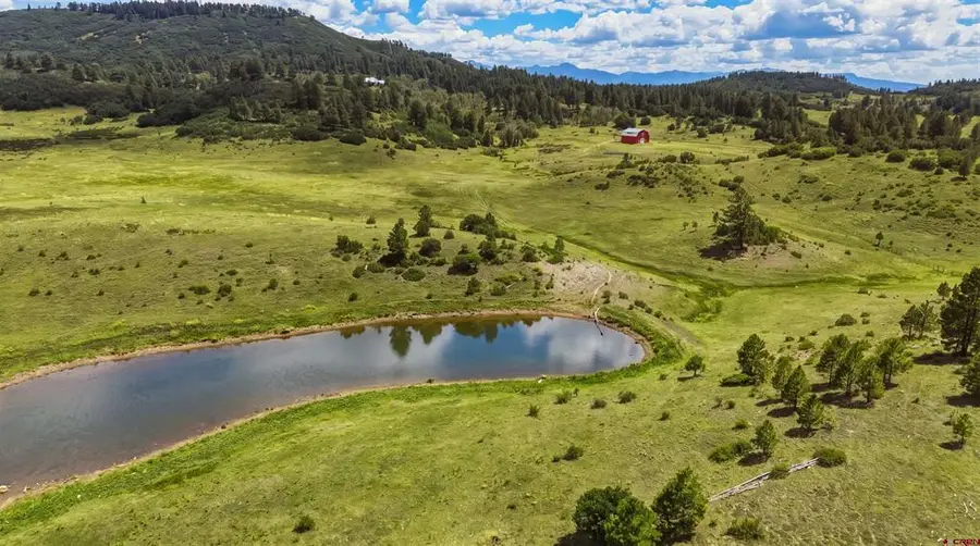X Raptor Place, Pagosa Springs, CO 81147 - #3