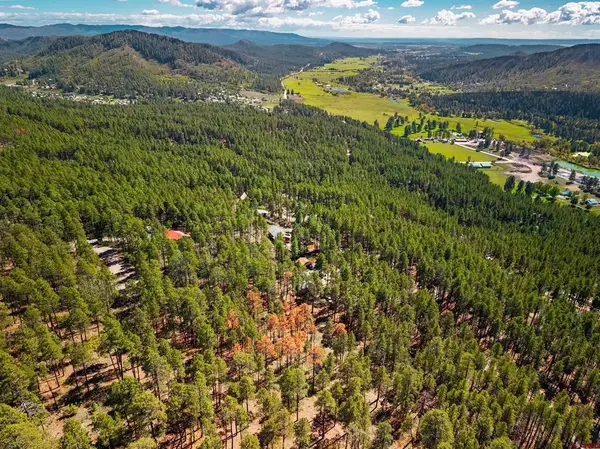 20 Elk Drive, Bayfield, CO 81122