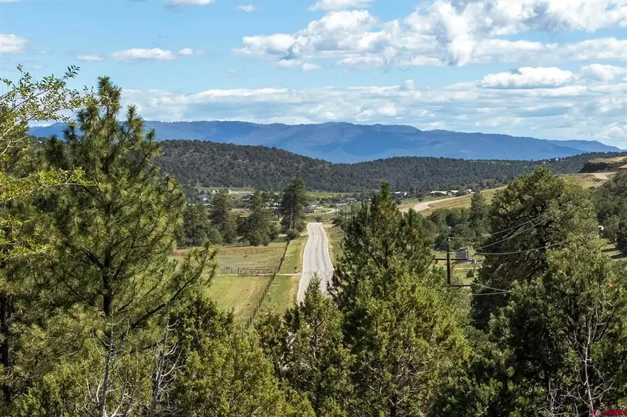 3860 County Road 223, Durango, CO 81301 - #3