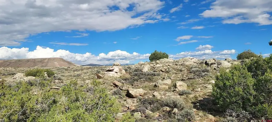 TBD State Highway 114, Gunnison, CO 81230 - #3