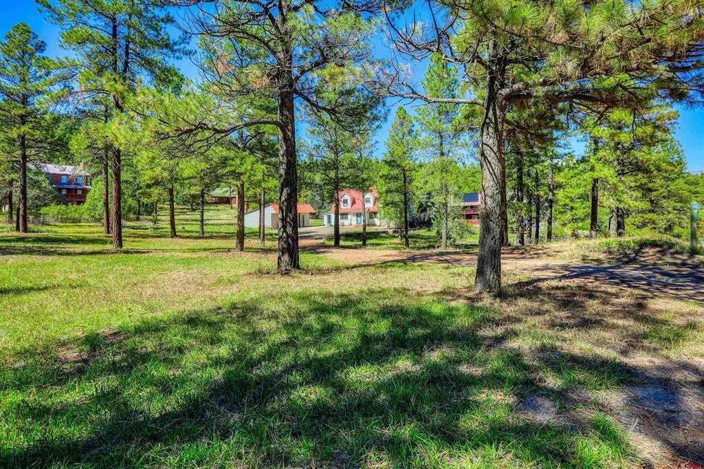224 Rainbow Drive, Pagosa Springs, CO 81147 - #1