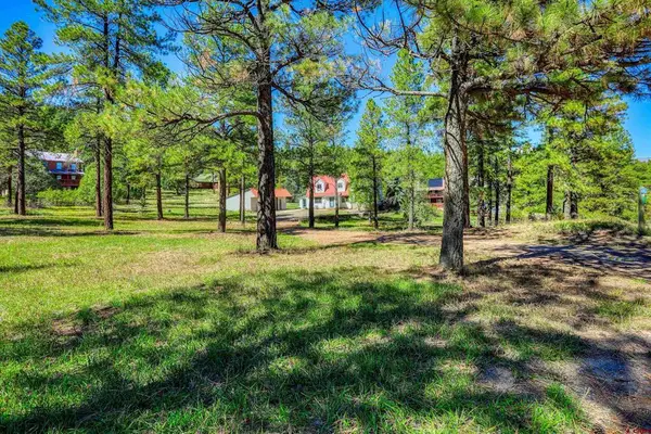 224 Rainbow Drive, Pagosa Springs, CO 81147