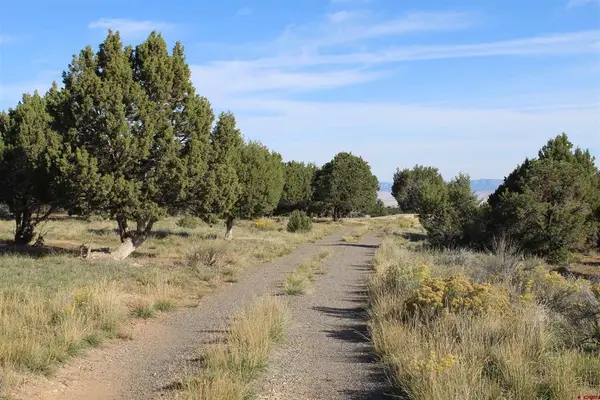 215 County Road 22a, Montrose, CO 81401