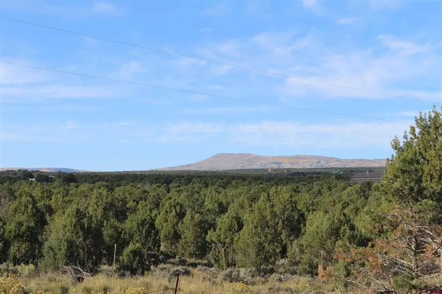 215 County Road 22a, Montrose, CO 81401 - #3