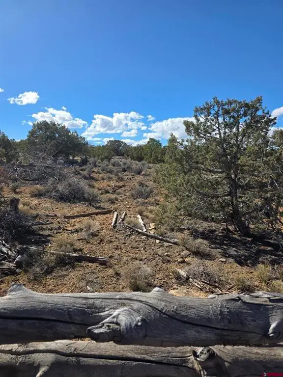 TBD 6100, Montrose, CO 81403 - #3
