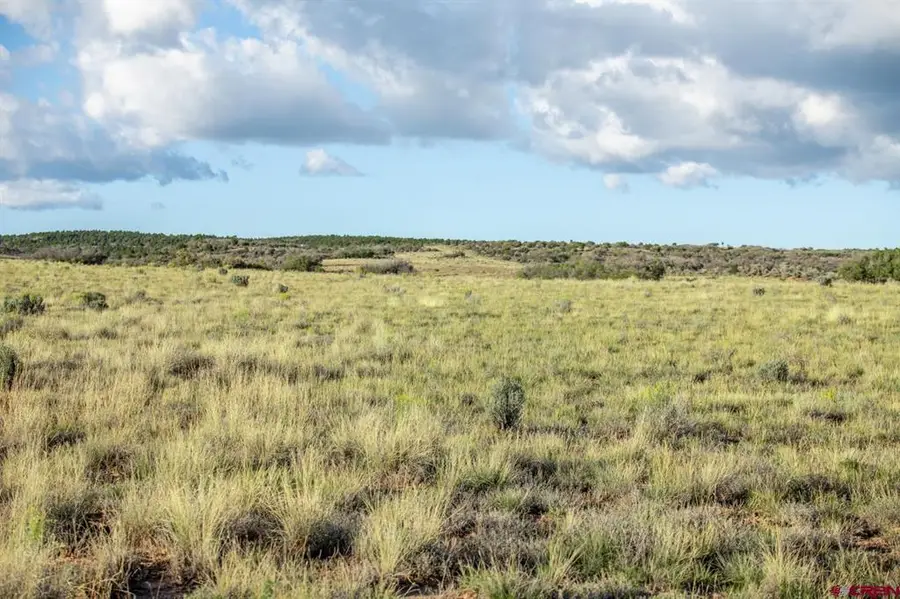 TBD Road X, Dolores, CO 81323 - #2