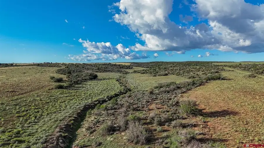 TBD Road X, Dolores, CO 81323 - #3