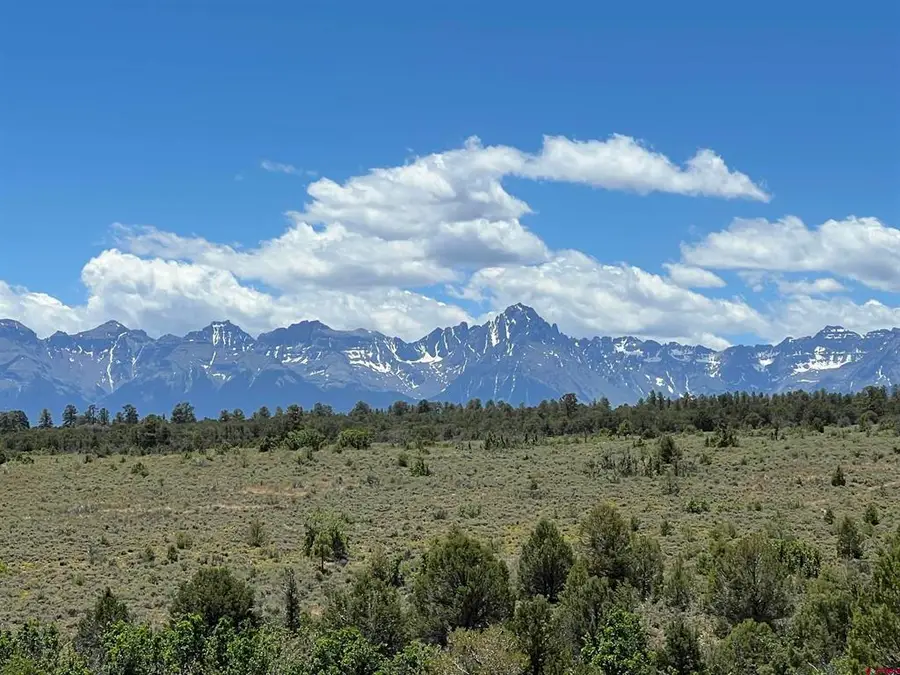 364 Jumping Tree Trail, Montrose, CO 81403 - #2