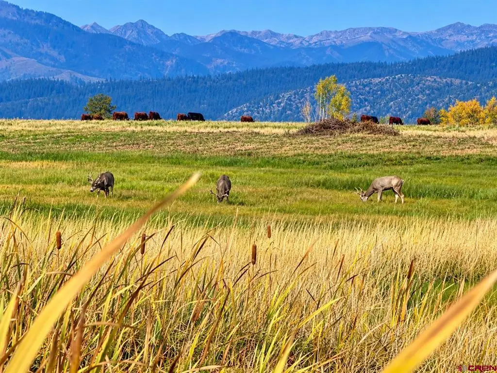 TBD County Road 520, Bayfield, CO 81122 - #1