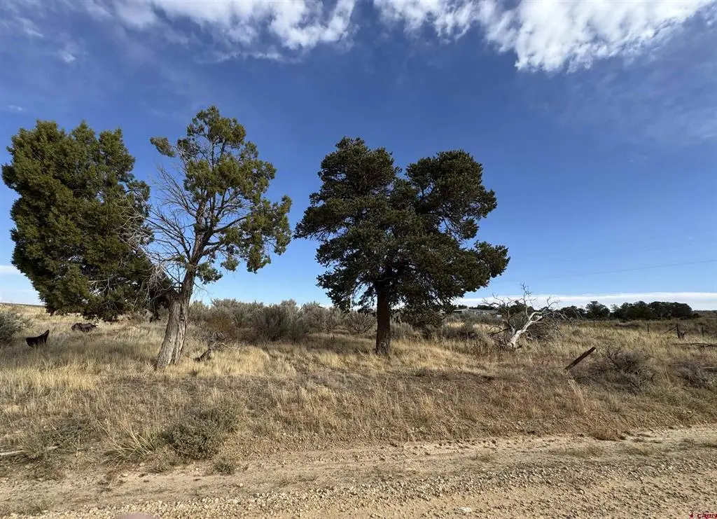 12040 Road N, Cahone, CO 81320 - #1